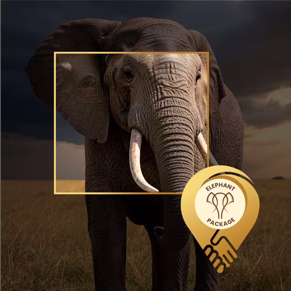 Localdeal wildlife elephant