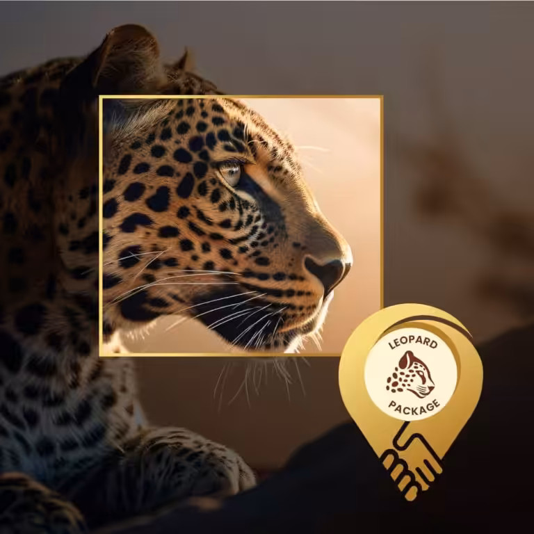 Localdeal wildlife leopard