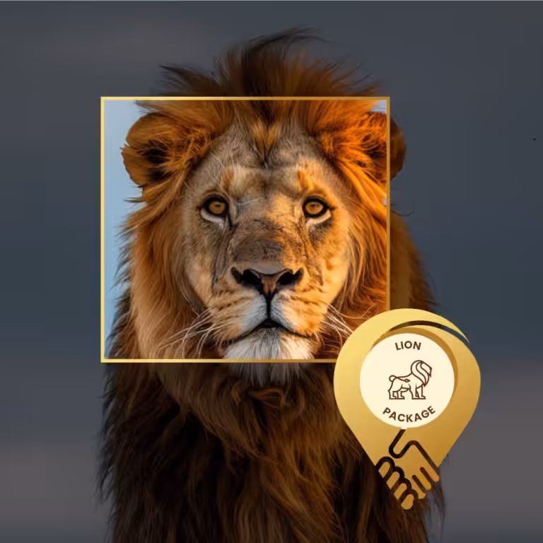 Localdeal wildlife lion