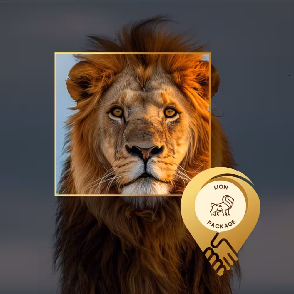 Localdeal wildlife lion