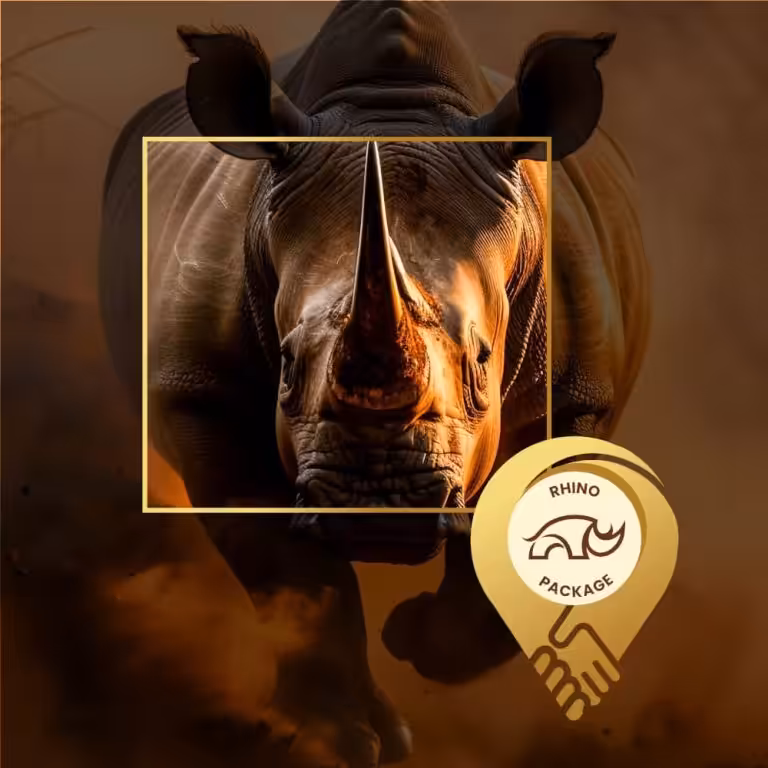 Localdeal wildlife rhino