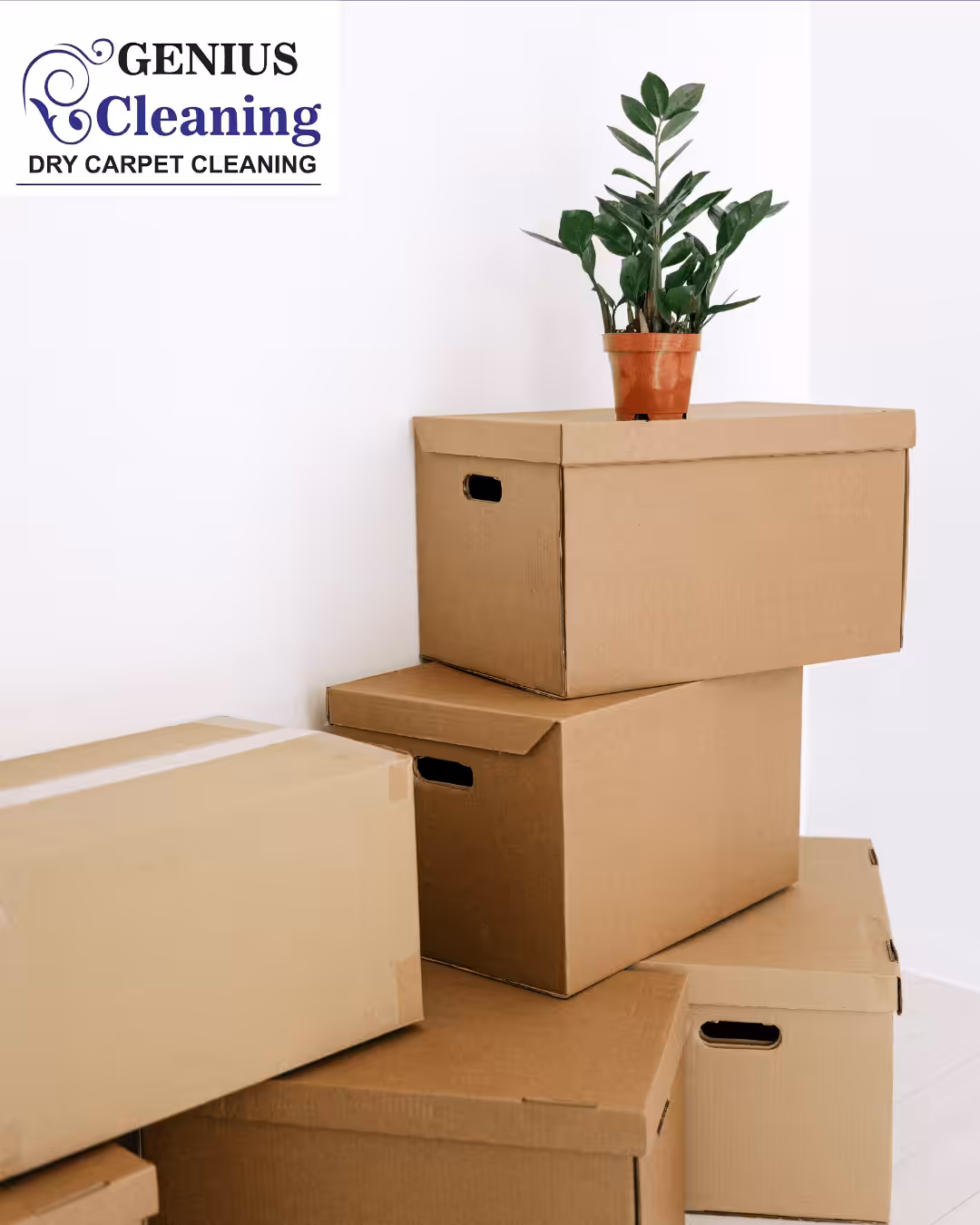 Move In Move Out Cleaning Package