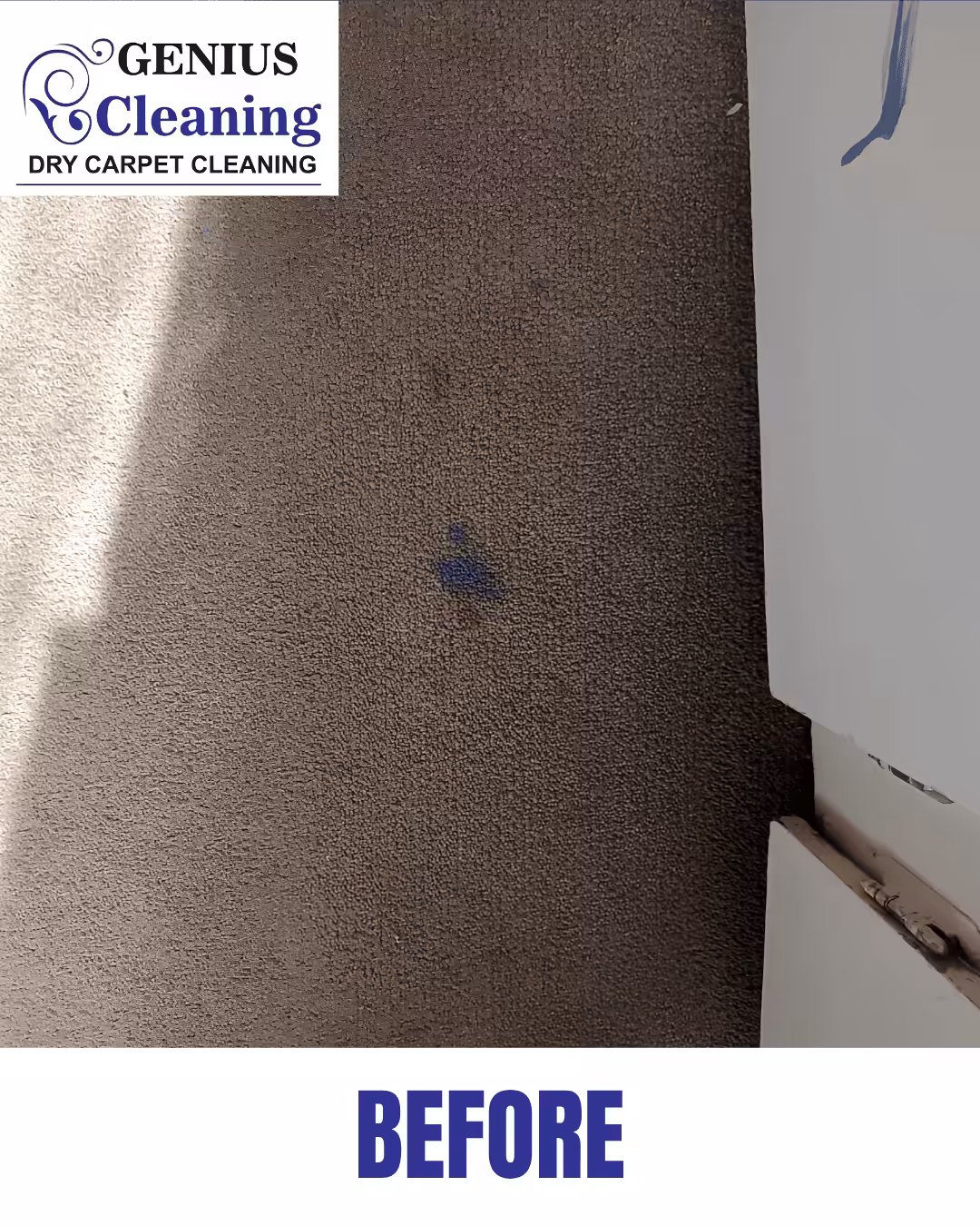PERSIAN CARPET CLEANING AFTER