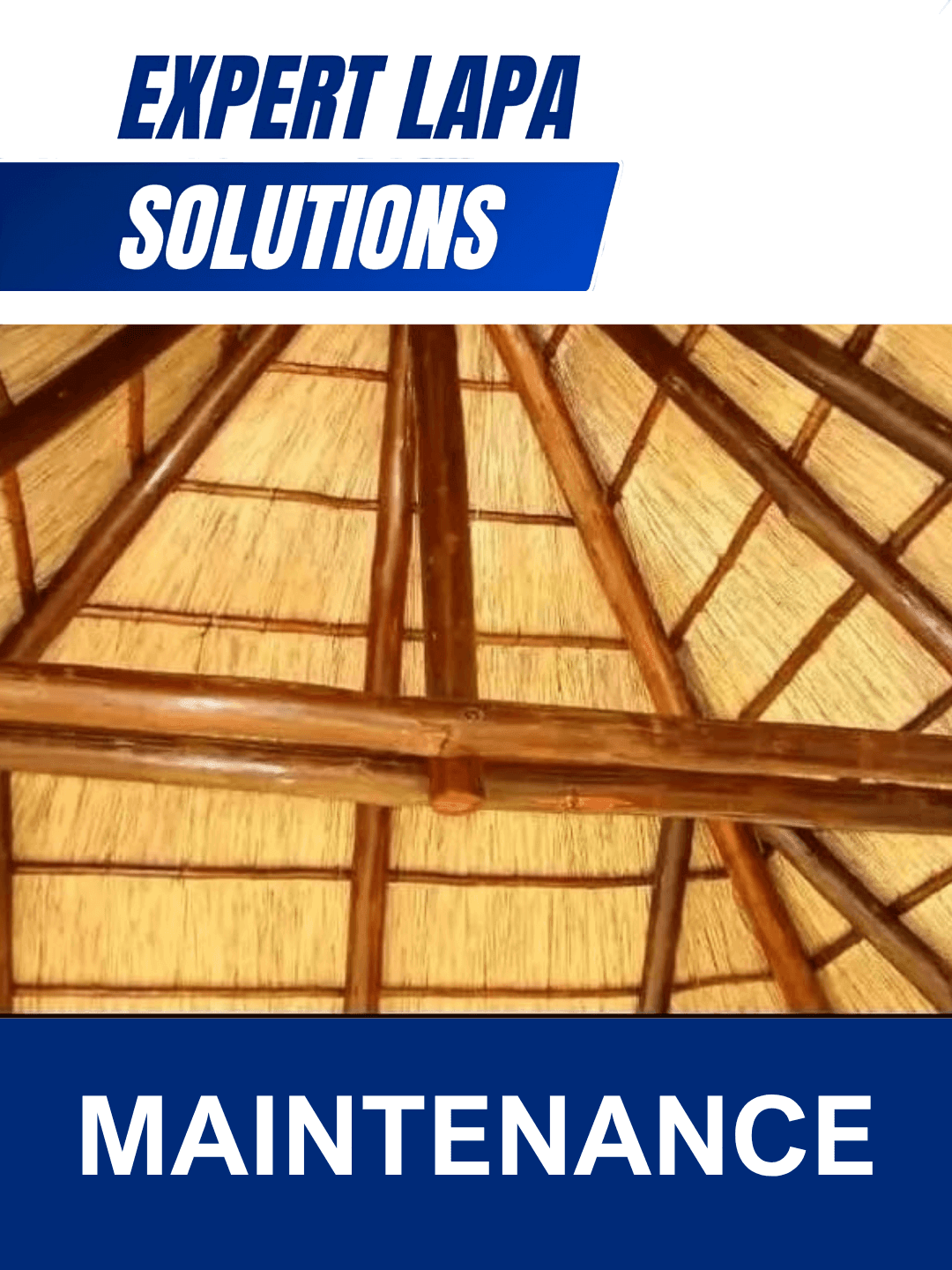 LAPA MAINTENANCE
