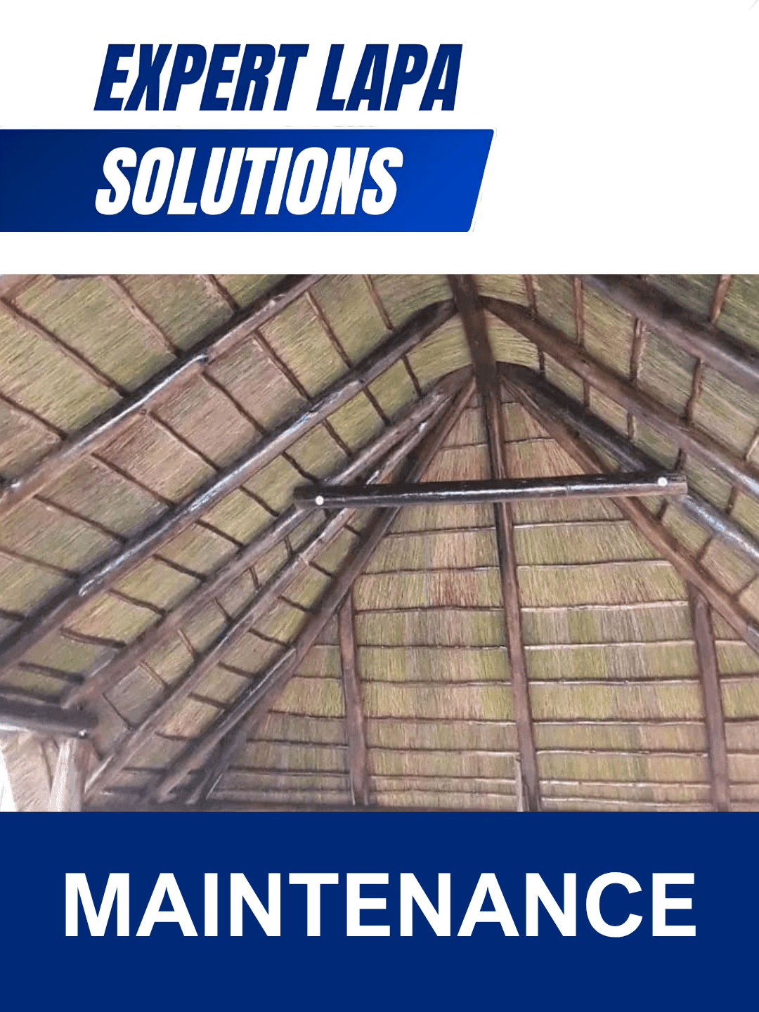 LAPA MAINTENANCE