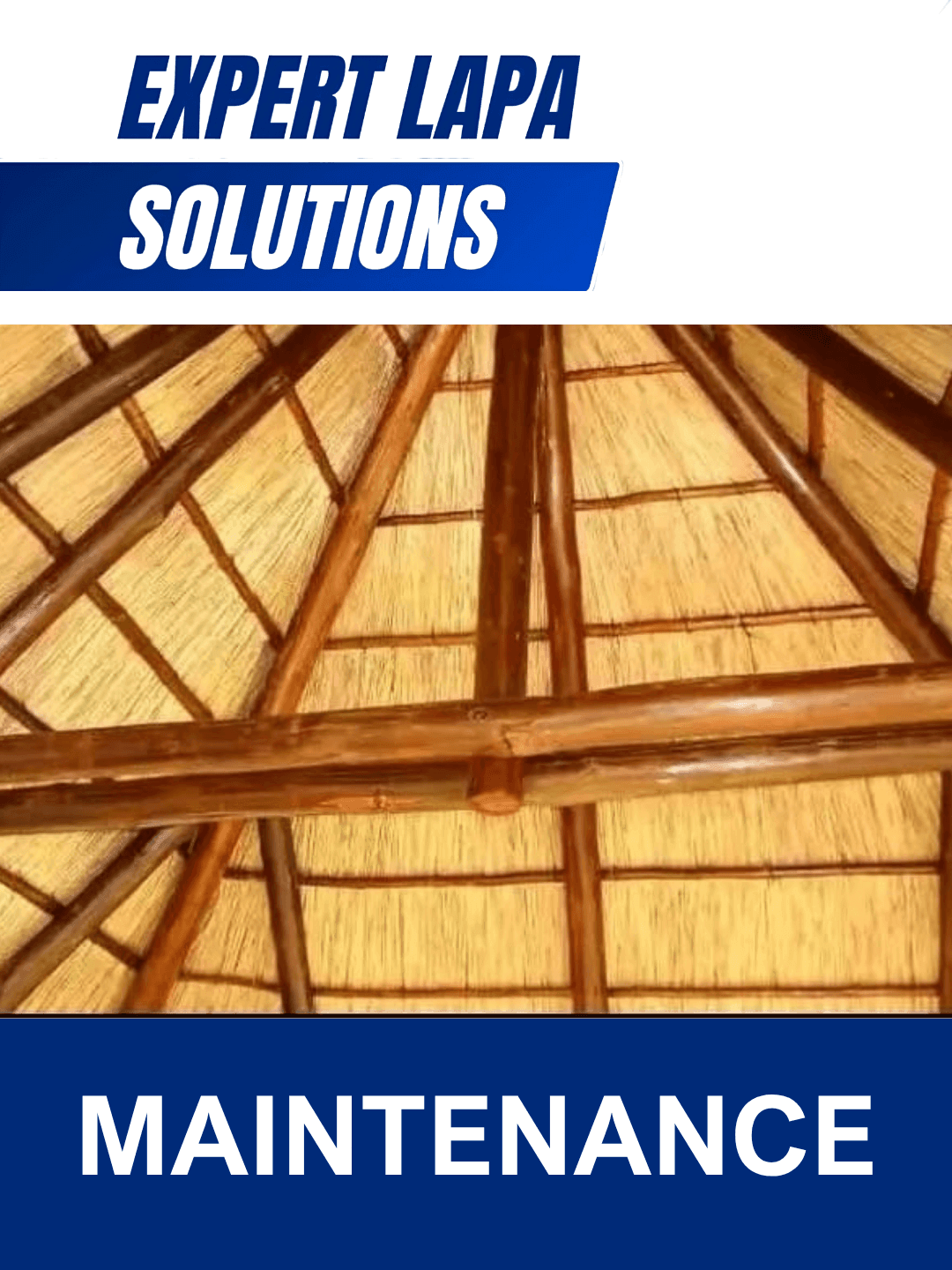 LAPA MAINTENANCE