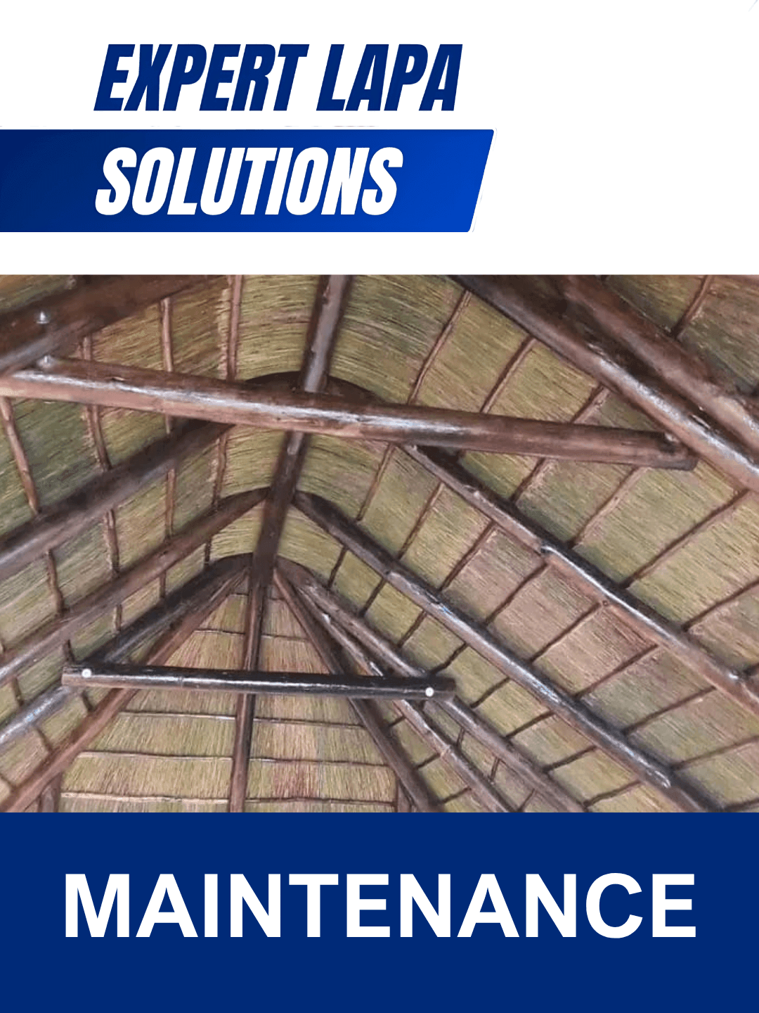 LAPA MAINTENANCE