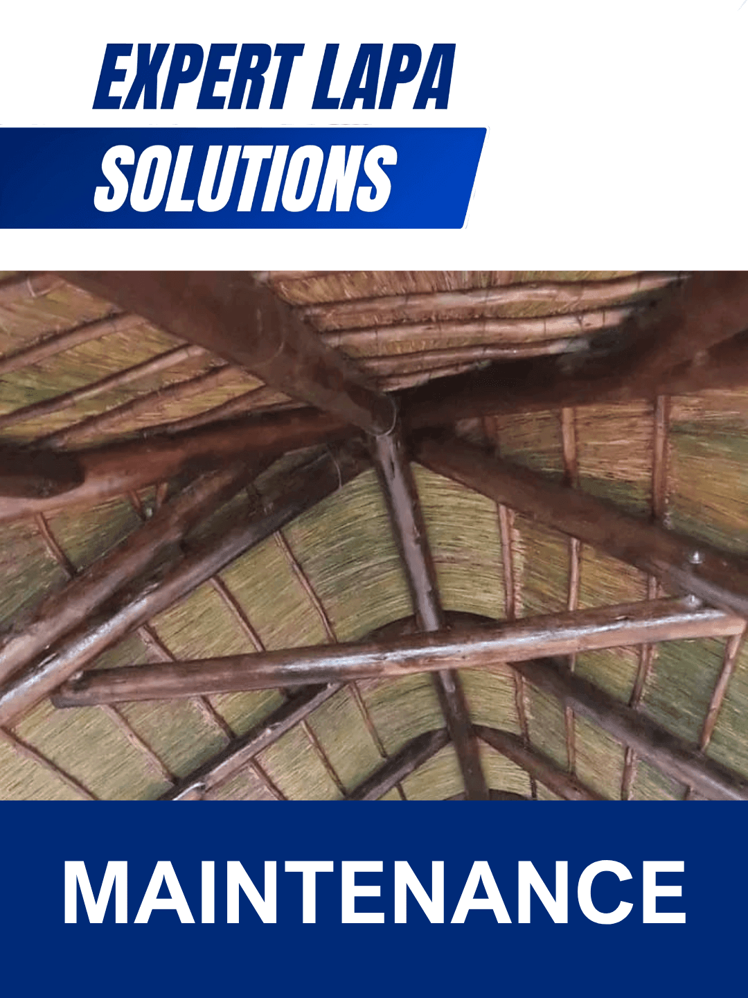 LAPA MAINTENANCE