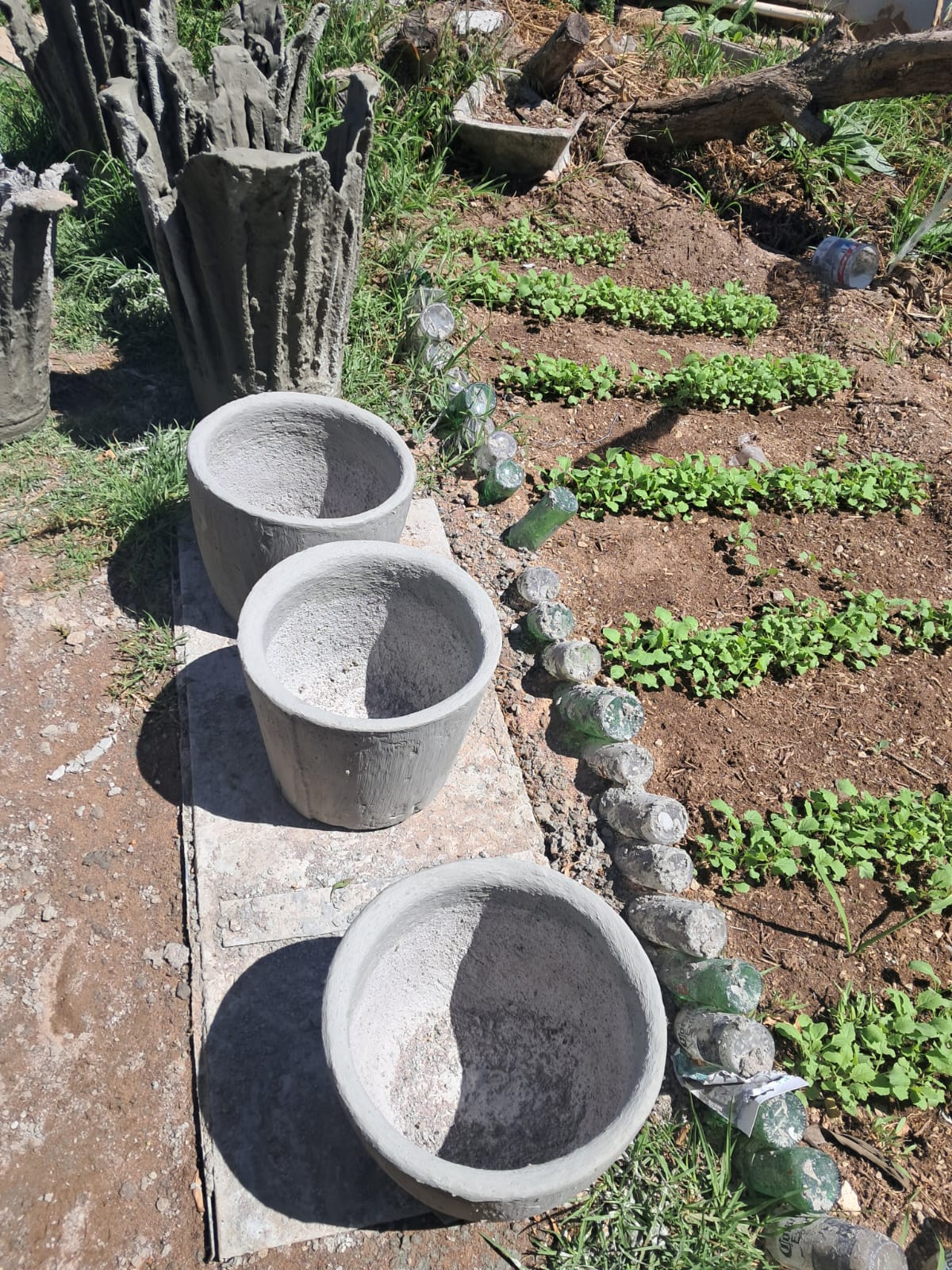 3 POTS