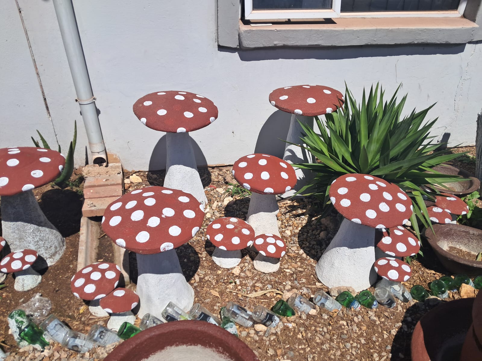 MUSHROOMS