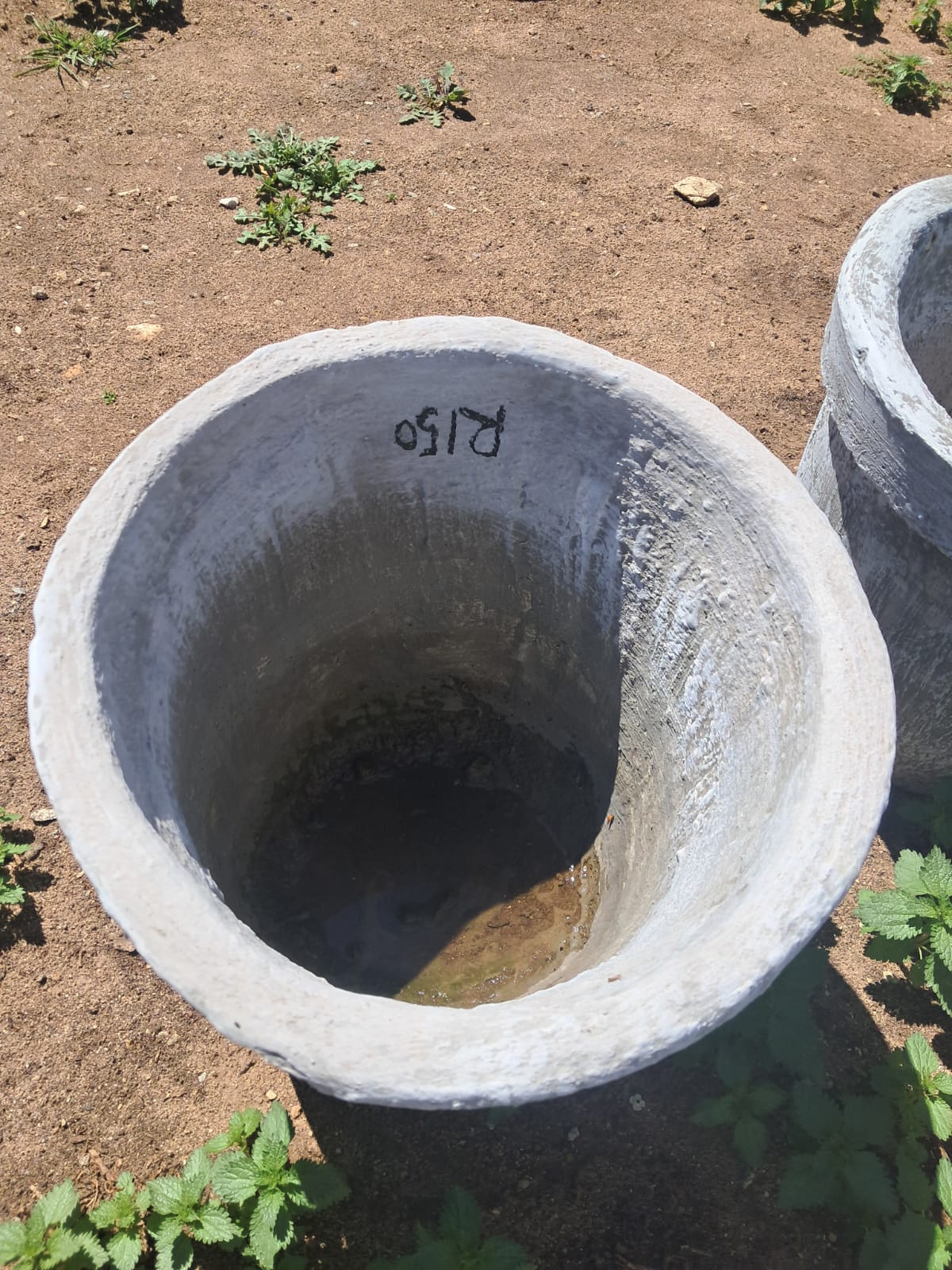 POTS